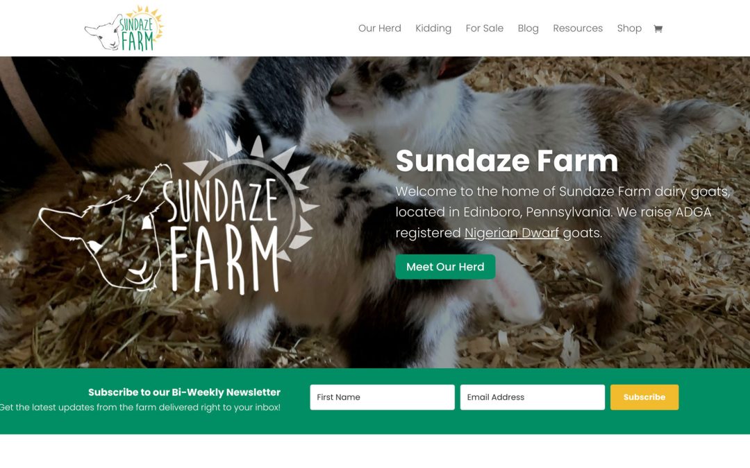 Sundaze Farm